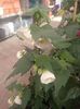 Img.2025.05.01