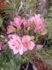 Img.2025.05.01