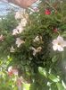 Img.2025.05.01
