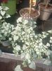 Img.2025.05.01