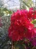 Img.2025.05.01