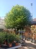 Img.2025.05.01