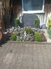 Img.2025.05.01