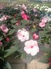 Img.2025.05.01