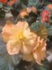 IMG20250501113