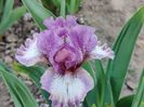 Ruflemania