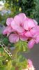IMG-20250501-WA0016