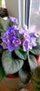 IMG-20250409-WA0009