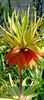 IMG-20250409-WA0026