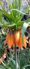 IMG-20250409-WA0021 (1)