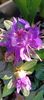 IMG-20250409-WA0022 (1)