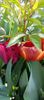IMG-20250409-WA0014