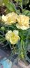 IMG-20250409-WA0013 (1)