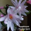 20250411_111535 - copie