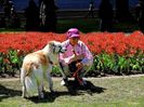 Doggie in park 3