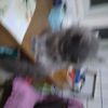 .trashed-1738257949-20241230_183835