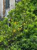 IMG-20250512-WA0037