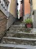 IMG-20250512-WA0019