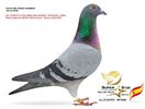 KMXY3422