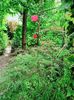 Rosarium Uetersen