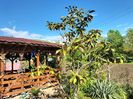 IMG20250517175249