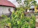 IMG20250517143232