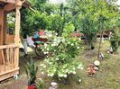 IMG20250517141923
