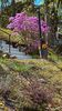 Spring time in Ottawa 7