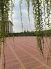 IMG20250519065247