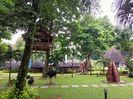 IMG20250519124629
