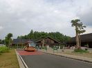 IMG20250520110914