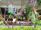 IMG20250521031558