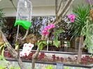 IMG20250521031603