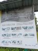 IMG20250521110529