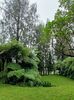 IMG20250523053429