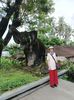 IMG20250524054116