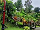 IMG20250524061155