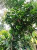 IMG20250524071738