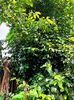 IMG20250524071912