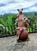 IMG20250524072305