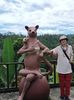 IMG20250524074317