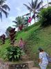 IMG20250524113346
