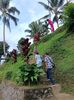 IMG20250524113352