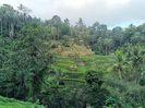 IMG20250524113534