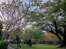 IMG20250526014439