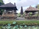 IMG20250527093114