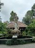 IMG20250527094719