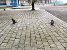 IMG20250527103158