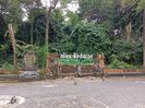 IMG20250527103441