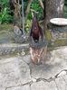 IMG20250527104321